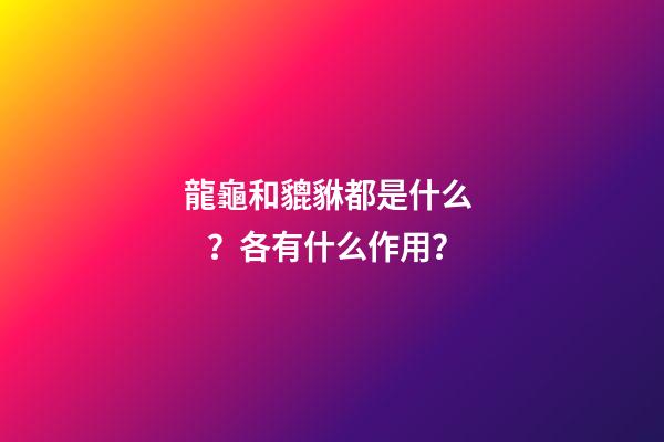 龍龜和貔貅都是什么？各有什么作用？